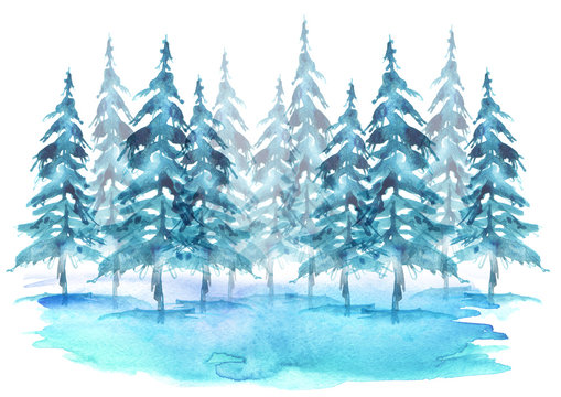 Watercolor group of trees - fir, pine, cedar, fir-tree. Blue, winter forest, landscape, forest landscape. Drawing on white isolated background.