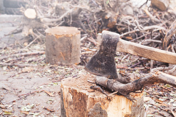 Fototapeta premium Axe in a log