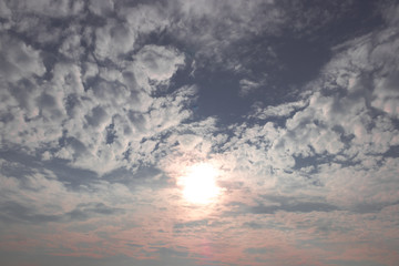 The spread clouds in dark blue with sunset