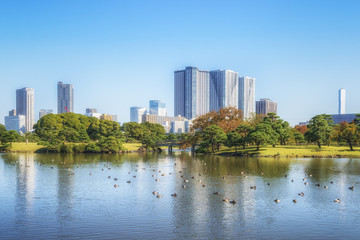 Obraz premium Tokyo view from the Hamarikyu Gardens. Japan.