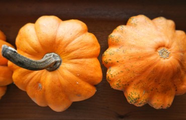 decorative pumpkins on the window