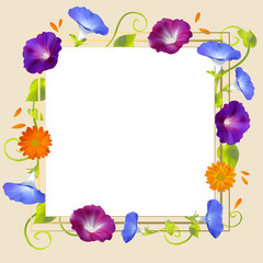 Convolvulus. Bindweed. Flower background. Curly plants. Vector illustration. Field flowers. Frame. Border. Bouquet. Wreath