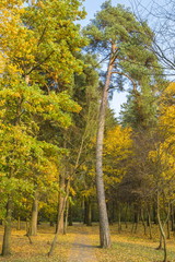 Autumn city park, Minsk, Belarus