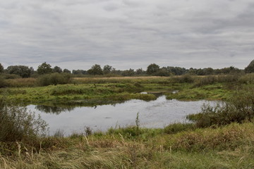 Autumn river landscape, river Pripyat