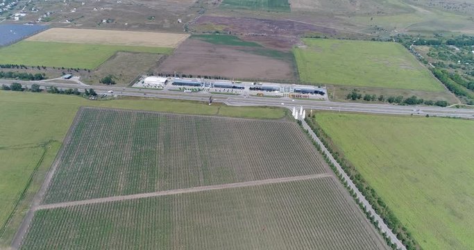 A view of the seedlings of trees from the air, flying over tree seedlings, a garden center, a young apple garden on the field, Rows of tree saplings in the Young apple garden, 4k, aerial