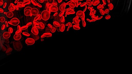Red blood cells isolated on black background for science education.