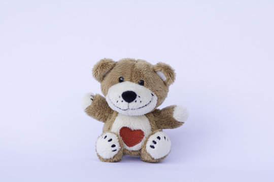 soft toy teddy bear  sitting on white background. 