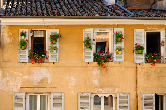 French window with hanging flowers