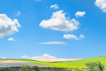 美瑛の有名な丘の風景 /  北海道 美瑛町