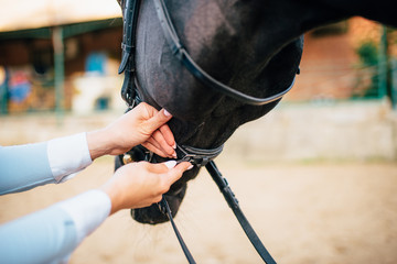 Female rider keeps the horse for a reason