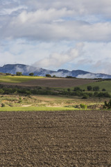 Camino landscape