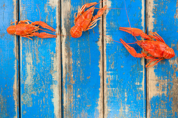 Three scattered whole red boiled crawfish on old rustic blue wooden planks