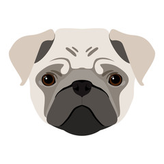 Abstract pug dog head. Cartoon stylish cute pug dog portrait pattern background