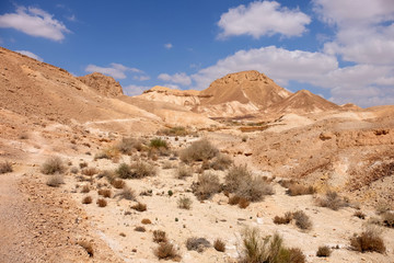Fototapeta na wymiar Negev desert scenic landscape.