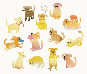 Cute Watercolor yellow dogs.