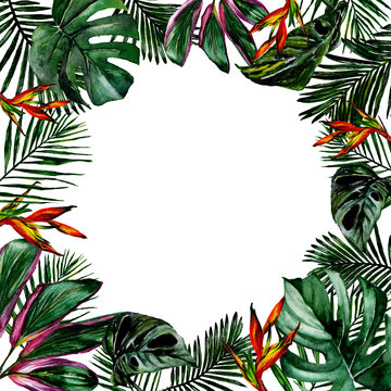 Tropical Hawaii leaves frame in a watercolor style. Aquarelle wild flower for background, texture, wrapper pattern, frame or border.
