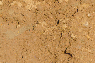 the texture of the sand and the rocks, closeup