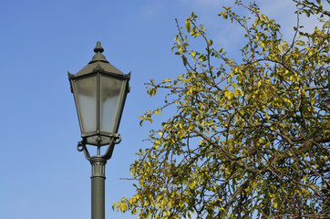 Rural scene with an old lantern near a tree in front of blue sky