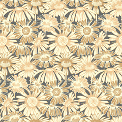 Fototapeta na wymiar Seamless vector pattern with hand drawn daisy flowers. Design for covers, textile, packaging
