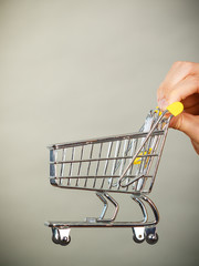 Woman hand holding small tiny shopping cart