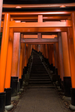 Famous red gates of the Fushimi Inari Shrine, Kyoto, Japan