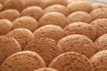 Delicious oatmeal cookies, closeup