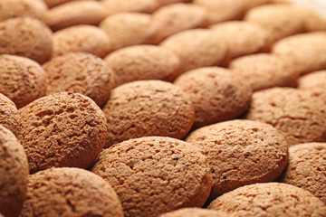 Delicious oatmeal cookies, closeup