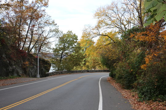 Street with autum collors