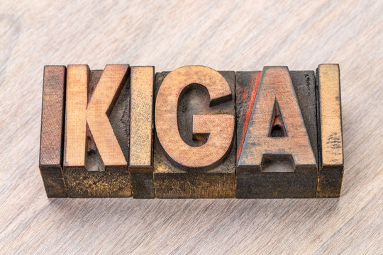 ikigai word abstract - a reason for being