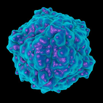 Tobacco ringspot virus isolated on black background. A model was built by using data of viral macromolecular structure furnished by Protein Data Bank (PDB 1A6C)