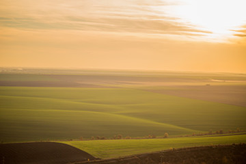aerial view of an unlimited green field at sunset