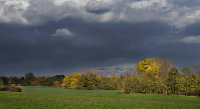 Stormy dark clouds over the trees and field. The fall scene