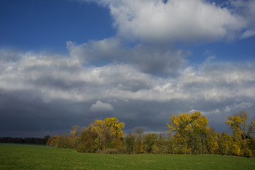 Stormy dark clouds over the trees and field. The fall scene