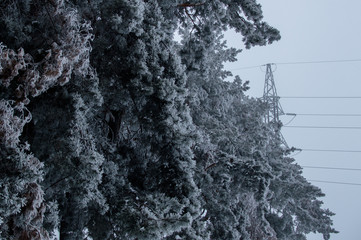 Winter photo of the high voltage transmission tower standing on the gray sky background behind the iced forest after blizzard