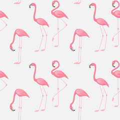 Vector illustration seamless pattern of a pink flamingo. Background with bird flamingos