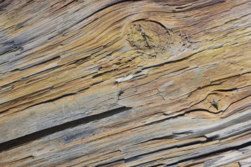 Old weathered wood texture