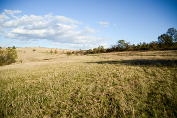 Obraz premium Green field in Bulgaria