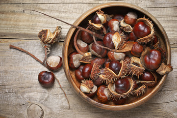 Fresh horse chestnuts in bowl