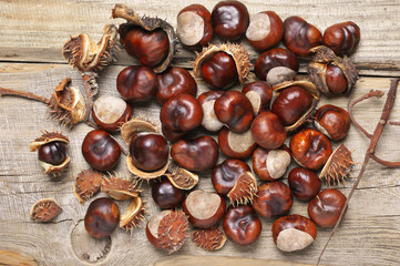Heap of fresh horse chestnuts