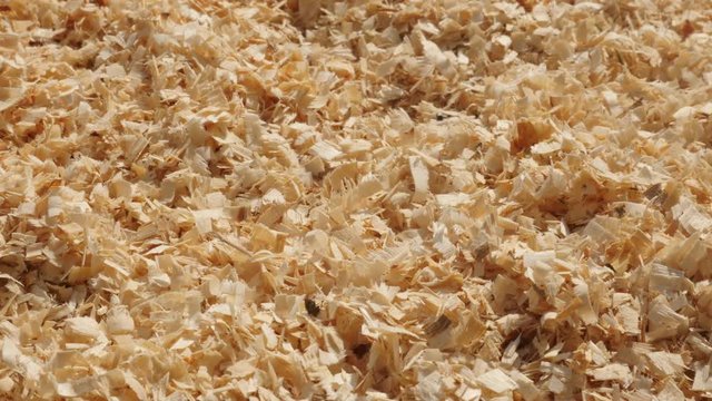  Energy source in wooden sawdust footage - Close-up of scobs made after wood cutting slow pan