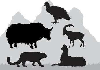 mountain area animals