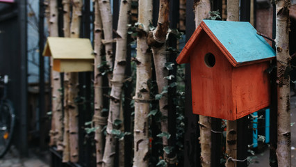 Colorful bird houses hanging between branches near a bicycle