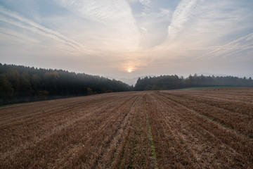 Fototapeta na wymiar A field on a foggy morning