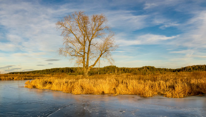 осенний пейзаж на замерзшей реке с деревьями на берегу, Россия, Урал, ноябрь © 7ynp100