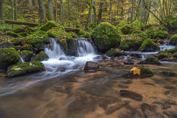 Creek in the woods