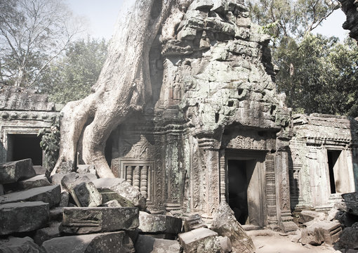 Jungle tree covering the stones of the temple ruins in Angkor Wat (Siem Reap, Cambodia),12th century, retro effect