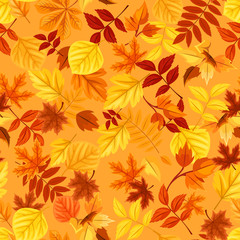 Plakat Vector seamless pattern with red, orange, yellow and brown autumn leaves.