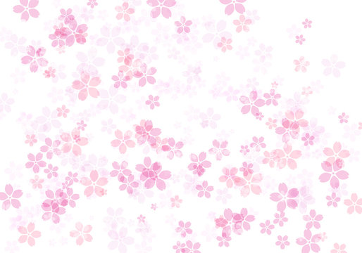 桜　ピンク　01