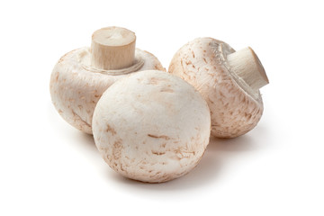 Champignons, close-up, isolated on white background.