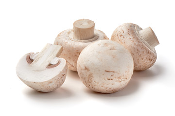 Champignons, close-up, isolated on white background.